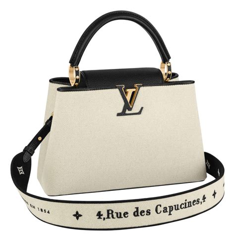 lv bags capucines|louis vuitton capucines price euro.